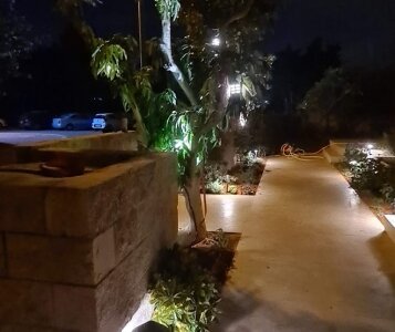 שילוב תאורה לילית בגינה